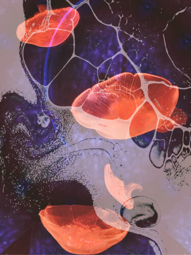 Цифровое искусство под названием "the jellyfish 1" - Katherine Lee, Подлинное произведение искусства, Фотомонтаж