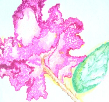 Ζωγραφική με τίτλο "Pink Flower" από Kathia Donaté, Αυθεντικά έργα τέχνης, Μολύβι