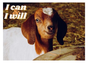 Photography titled "Inspired goat!" by Kathi Halickman, Original Artwork, Non Manipulated Photography