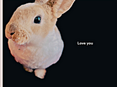Fotografía titulada "Love you bunny" por Kathi Halickman, Obra de arte original, Fotografía digital