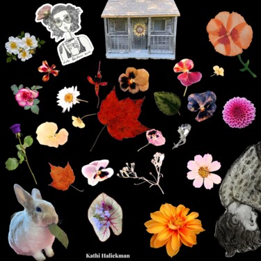 数字艺术 标题为“A unique collage wi…” 由Kathi Halickman, 原创艺术品, 2D数字工作