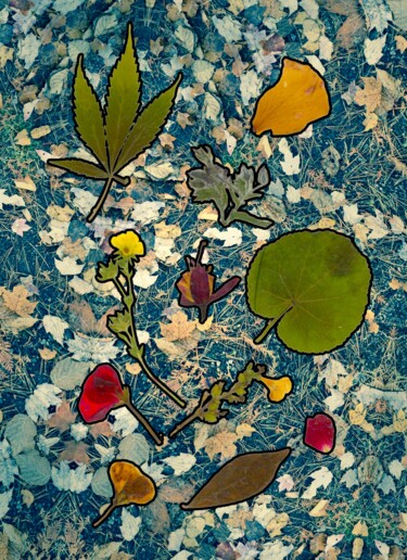 Digital Arts titled "Floral collage digi…" by Kathi Halickman, Original Artwork, Photo Montage