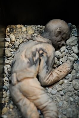 Sculptuur getiteld "Detail Flanders Fie…" door Kathy Vandamme, Origineel Kunstwerk, Mixed Media