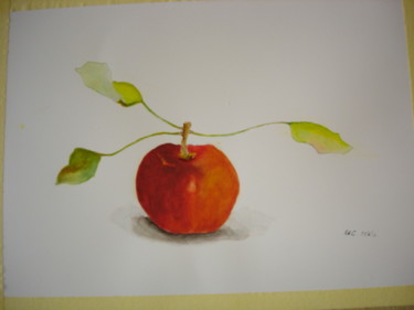 Painting titled "une pomme" by Katia De Carvalho, Original Artwork, Watercolor