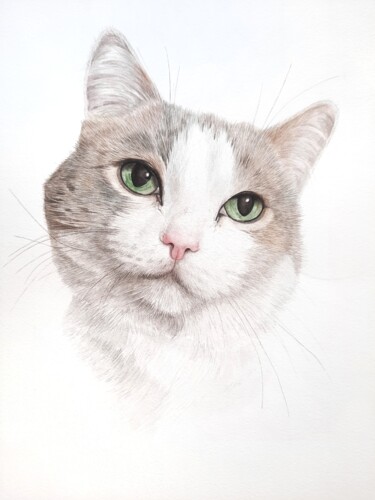 Peinture intitulée "Silver cat" par Ekaterina Rau, Œuvre d'art originale, Aquarelle