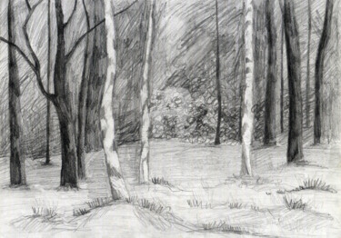 Grafika cyfrowa / sztuka generowana cyfrowo zatytułowany „Forest , 森林” autorstwa Katwrina Golban, Oryginalna praca, Ołówek