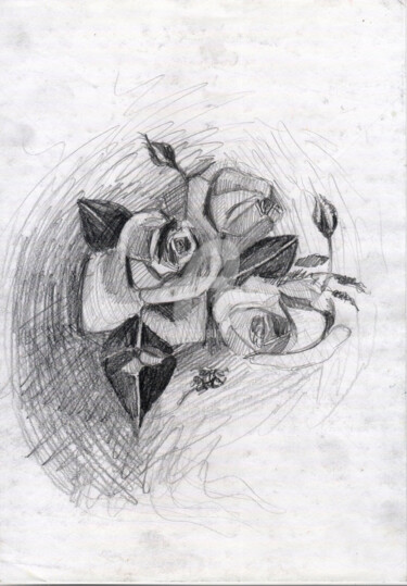 Digital Arts titled "Rose" by Katwrina Golban, Original Artwork, Pencil