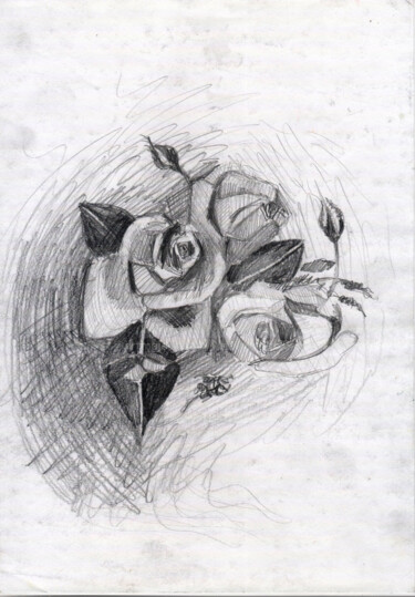 Rose Drawing titled "Rose" by Katwrina Golban, Original Art, Pencil