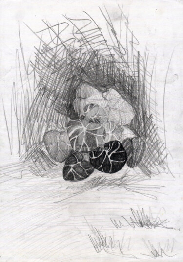Drawing titled "Leaves , 樹葉" by Katwrina Golban, Original Artwork, Pencil