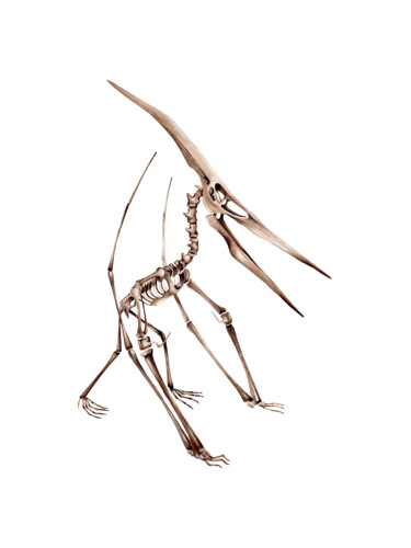Ζωγραφική με τίτλο "Pteranodon" από Katya Shiova, Αυθεντικά έργα τέχνης, Ακουαρέλα