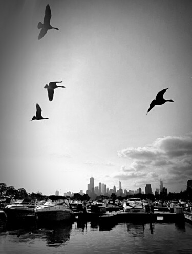 Фотография под названием "Those strange geese" - Kay Jay, Подлинное произведение искусства, Цифровая фотография