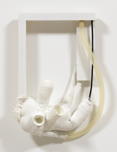 Sculpture titled "Specimen" by Kazuhiro Higashi, Original Artwork, Fabric