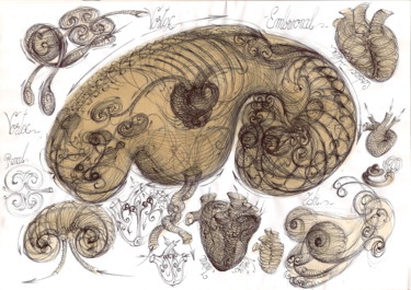 Disegno intitolato "19-human-embrion-vo…" da Gabriel Kelemen, Opera d'arte originale