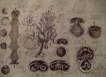 Disegno intitolato "29-vegetal-animal-t…" da Gabriel Kelemen, Opera d'arte originale