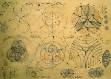 Zeichnungen mit dem Titel "31-unda-stationara-…" von Gabriel Kelemen, Original-Kunstwerk