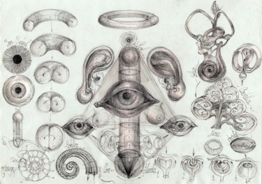 Disegno intitolato "85-algoritm-simboli…" da Gabriel Kelemen, Opera d'arte originale, Biro