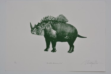 Printmaking titled "Armadillo,Rhinocero…" by Kelvin Chap, Original Artwork, Screenprinting