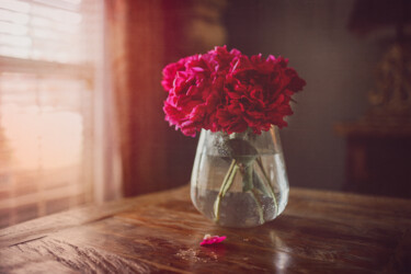 Photographie intitulée "Pink Peony" par Ken Gehring, Œuvre d'art originale, Photographie numérique