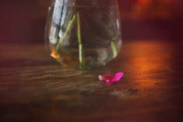 Photography titled "Pink Petal" by Ken Gehring, Original Artwork, Non Manipulated Photography