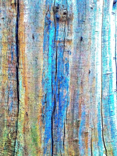 Фотография под названием "Wood 414b2" - Ken Lerner, Подлинное произведение искусства, Цифровая фотография