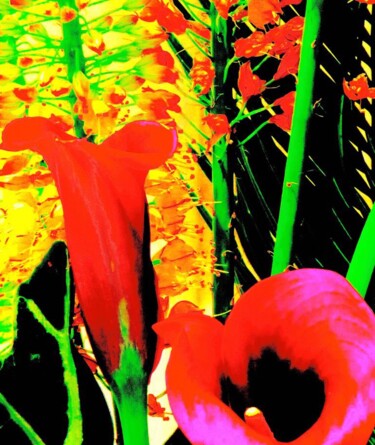 Fotografía titulada "Flower Arrangement…" por Ken Lerner, Obra de arte original, Fotografía digital