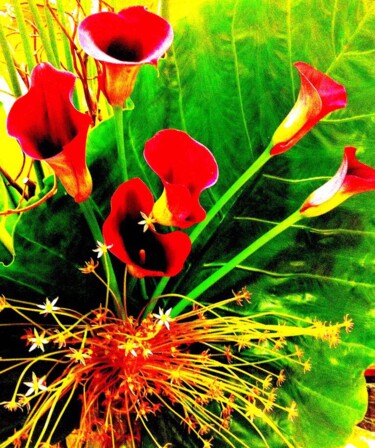 Фотография под названием "Trumpet Flowers 1a" - Ken Lerner, Подлинное произведение искусства, Цифровая фотография