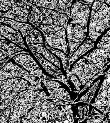 Photographie intitulée "Snow on a Tree 1d9" par Ken Lerner, Œuvre d'art originale, Photographie numérique