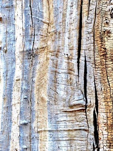 Fotografía titulada "Wood 25b" por Ken Lerner, Obra de arte original, Fotografía digital