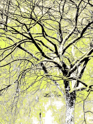 Photographie intitulée "A Tree in Central P…" par Ken Lerner, Œuvre d'art originale, Photographie numérique