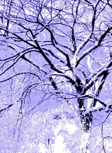 "A Tree in Central P…" başlıklı Fotoğraf Ken Lerner tarafından, Orijinal sanat, Dijital Fotoğrafçılık