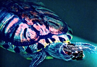 Photography titled "Turtle in Turtle Po…" by Ken Lerner, Original Artwork, Digital Photography