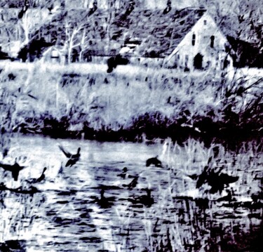 Fotografia intitulada "Ducks in an Eastpor…" por Ken Lerner, Obras de arte originais, Fotografia digital