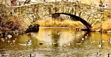Fotografie mit dem Titel "Central Park 4 - Bo…" von Ken Lerner, Original-Kunstwerk, Digitale Fotografie