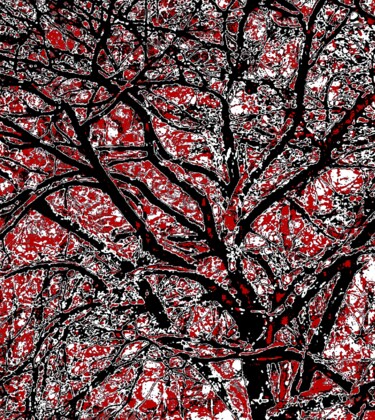Фотография под названием "Snow on a Tree 1e2" - Ken Lerner, Подлинное произведение искусства, Цифровая фотография