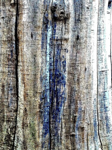 Фотография под названием "Wood 414b5" - Ken Lerner, Подлинное произведение искусства, Цифровая фотография