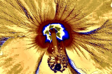 Фотография под названием "Hibiscus 10j3" - Ken Lerner, Подлинное произведение искусства, Цифровая фотография