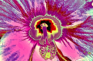 Photography titled "Hibiscus 10e2" by Ken Lerner, Original Artwork, Digital Photography