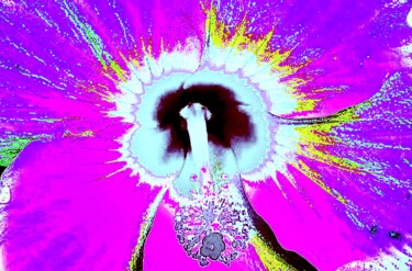 Фотография под названием "Hibiscus 10d5" - Ken Lerner, Подлинное произведение искусства, Цифровая фотография