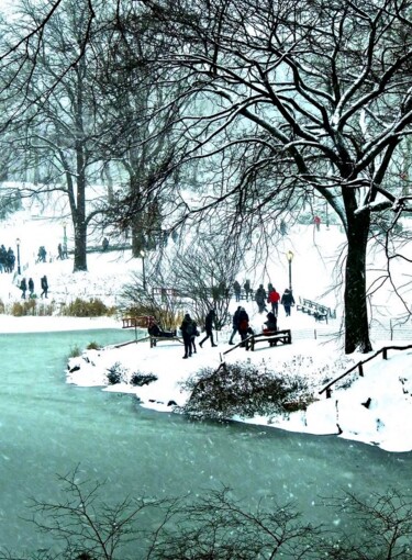 Fotografie mit dem Titel "Central Park Snow 8" von Ken Lerner, Original-Kunstwerk, Digitale Fotografie