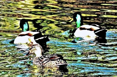 Φωτογραφία με τίτλο "Central Park Ducks…" από Ken Lerner, Αυθεντικά έργα τέχνης, Ψηφιακή φωτογραφία