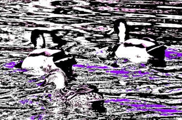 Fotografie mit dem Titel "Central Park Ducks…" von Ken Lerner, Original-Kunstwerk, Digitale Fotografie