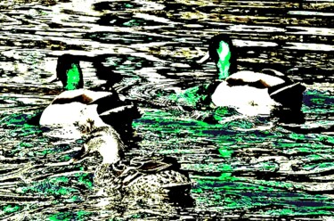 Photographie intitulée "Central Park Ducks…" par Ken Lerner, Œuvre d'art originale, Photographie numérique