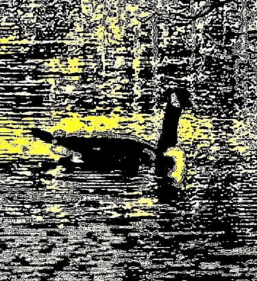 Fotografia intitolato "A Goose on the Lake…" da Ken Lerner, Opera d'arte originale, Fotografia digitale
