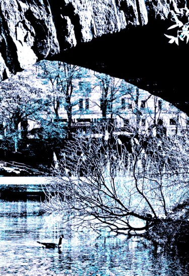 Fotografia intitolato "Central Park Throug…" da Ken Lerner, Opera d'arte originale, Fotografia digitale