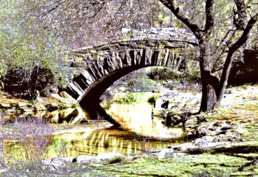 Фотография под названием "Bow Bridge Central…" - Ken Lerner, Подлинное произведение искусства, Цифровая фотография