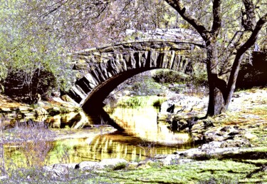 Fotografia intitolato "Bow Bridge Central…" da Ken Lerner, Opera d'arte originale, Fotografia digitale