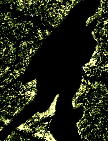 Фотография под названием "Silhouettes  100a4" - Ken Lerner, Подлинное произведение искусства, Цифровая фотография
