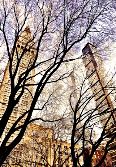 Photography titled "Madison Park Februa…" by Ken Lerner, Original Artwork, Digital Photography