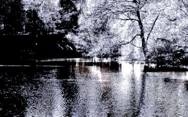 Fotografia intitolato "Central Park Pond 4…" da Ken Lerner, Opera d'arte originale, Fotografia digitale