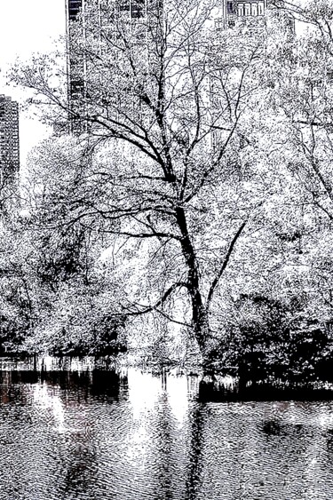 Фотография под названием "Central Park Pond 4…" - Ken Lerner, Подлинное произведение искусства, Цифровая фотография